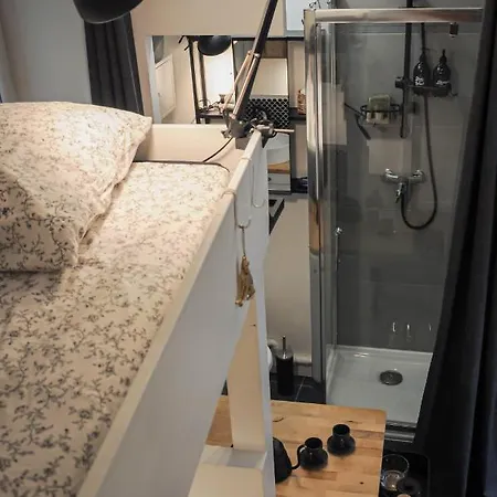 Appartement Le 8 - Mini studio au Jardin de Ville Grenoble